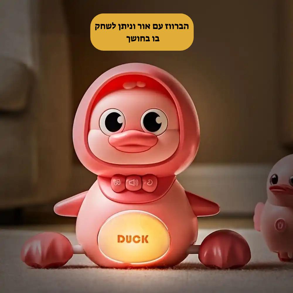 משחק ברווזים מגנטים