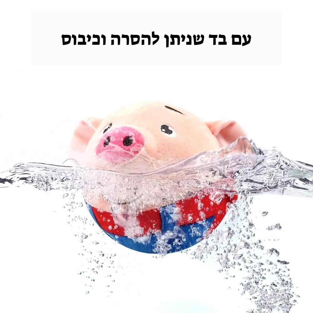 צעצוע קופצני מדבר