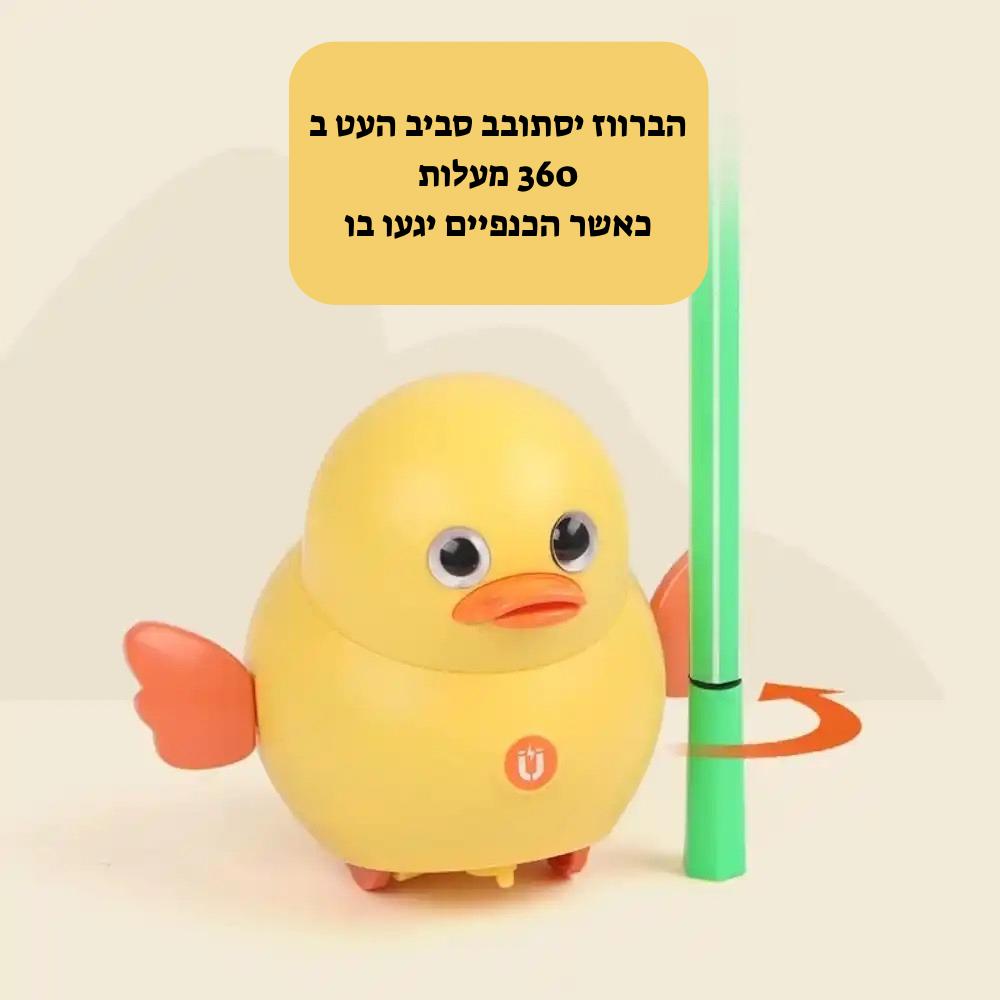 משחק ברווזים מגנטים