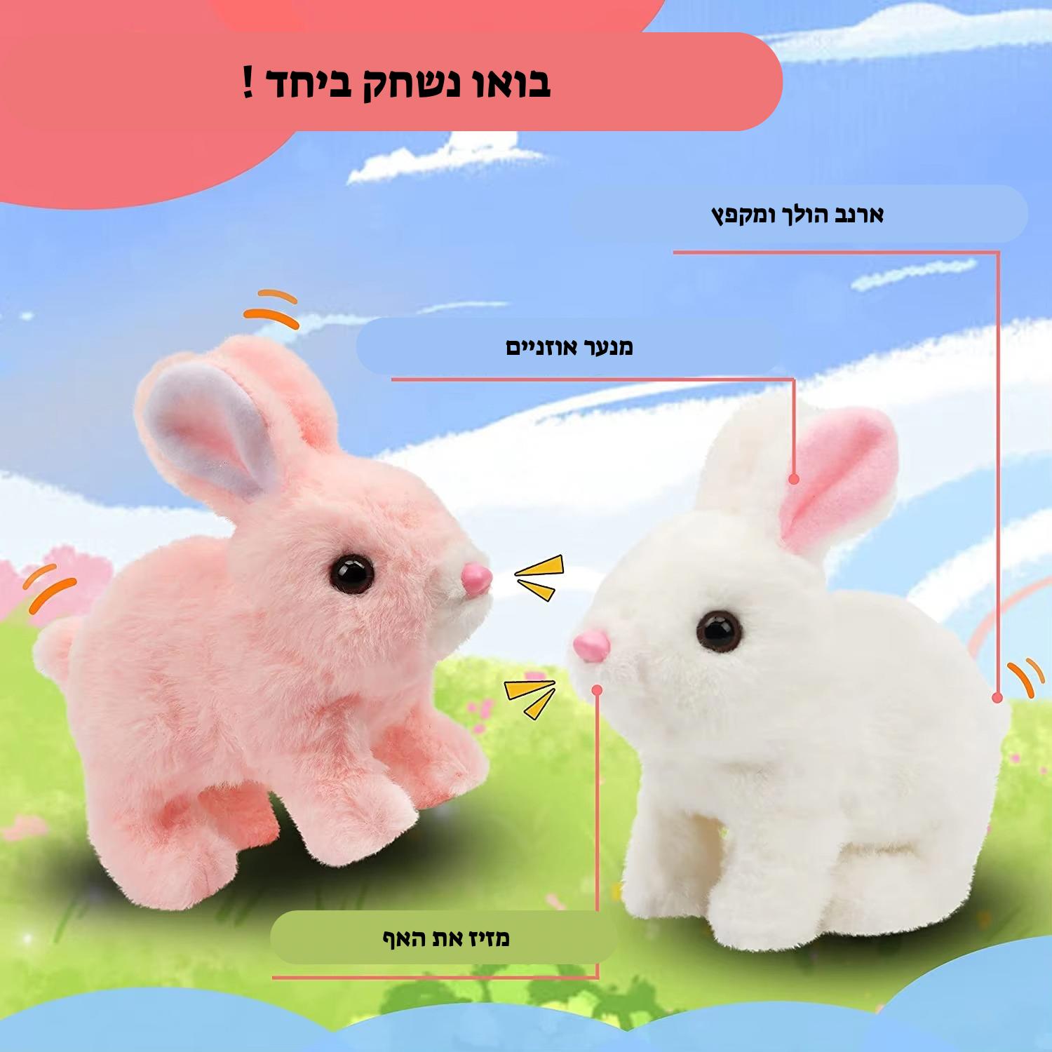 חבר ארנבי חשמלי